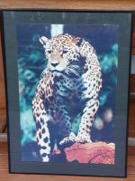 Wandbild Jaguar mit Widmung Bayern - Poing Vorschau