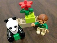 Lego Duplo Pandabär Hessen - Großkrotzenburg Vorschau