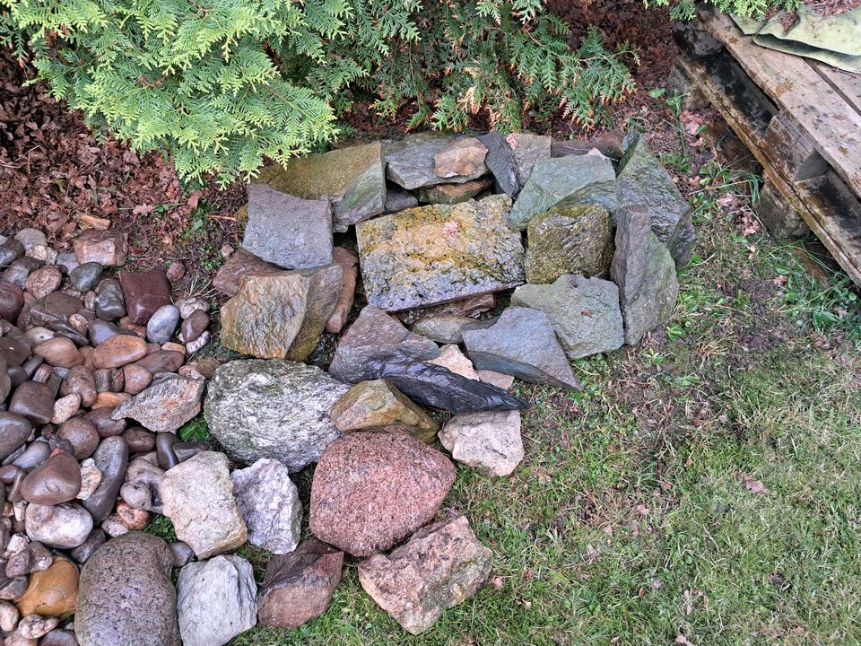 Zierstein Flusskies Bruchstein Grünnsandstein zu verschenken in Lippetal