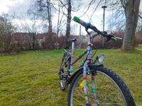 Kunterbuntes Kinder-/Jugend Fahrrad Sachsen - Zwickau Vorschau