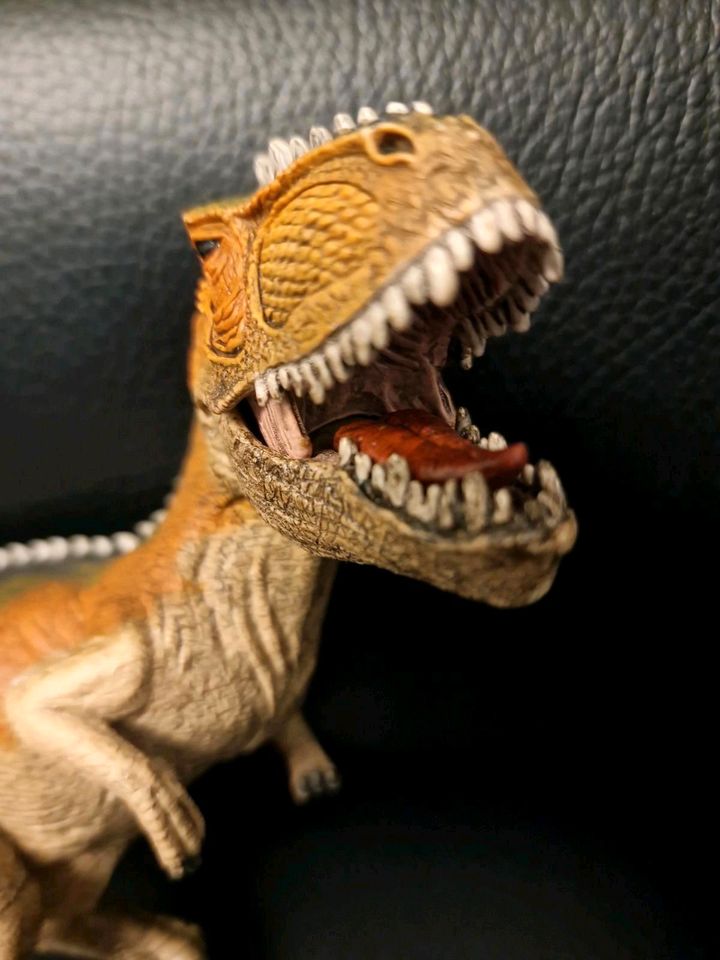 Schleich Dinosaurier Tyranosaurus Rex neuwertig in Aach