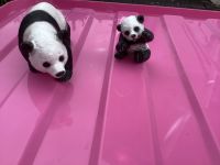 AKTION: SCHLEICH Panda (selten!) mit Junges 14734 Nordrhein-Westfalen - Beverungen Vorschau