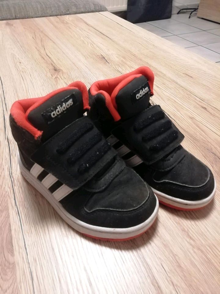 Adidas Schuhe Gr. 26 in Bad Laer