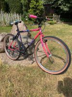 Giant Coldrock 90er Retro Mountainbike Hessen - Kelsterbach Vorschau