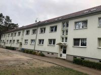 2-raum Wohnung (groß und klein)in Körbin-Neu Sachsen-Anhalt - Bad Schmiedeberg Vorschau