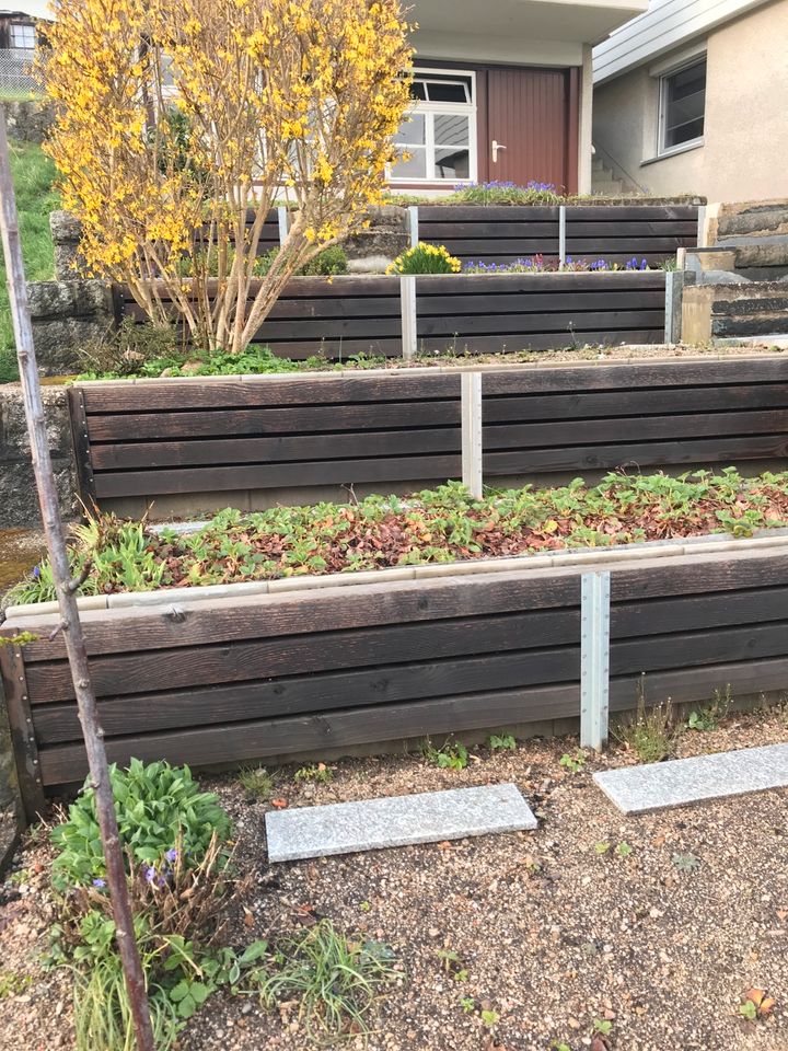 Garten Pacht zur Nutzung für Gemüse und Beeren in Villingen-Schwenningen