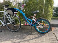 Nachläufer Anhänger Kinder Fahrrad wie neu Baden-Württemberg - Ehrenkirchen Vorschau