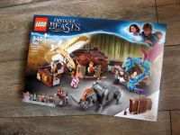 Lego 75952 Newt und seine magischen Tierwesen NEU & OVP Kreis Ostholstein - Timmendorfer Strand  Vorschau