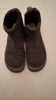 Wildlinge Bruklin Chestnut Bayern - Affing Vorschau