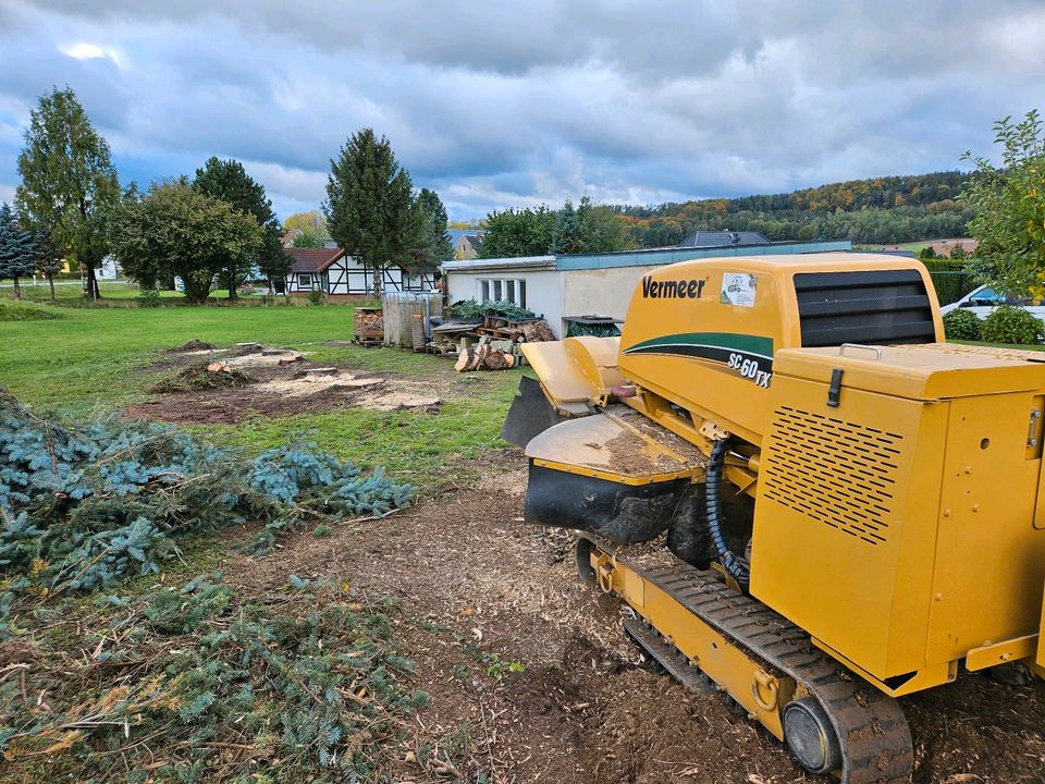 Wurzelfräsen/ Stubbenfräsen/ Rodung in Kamenz