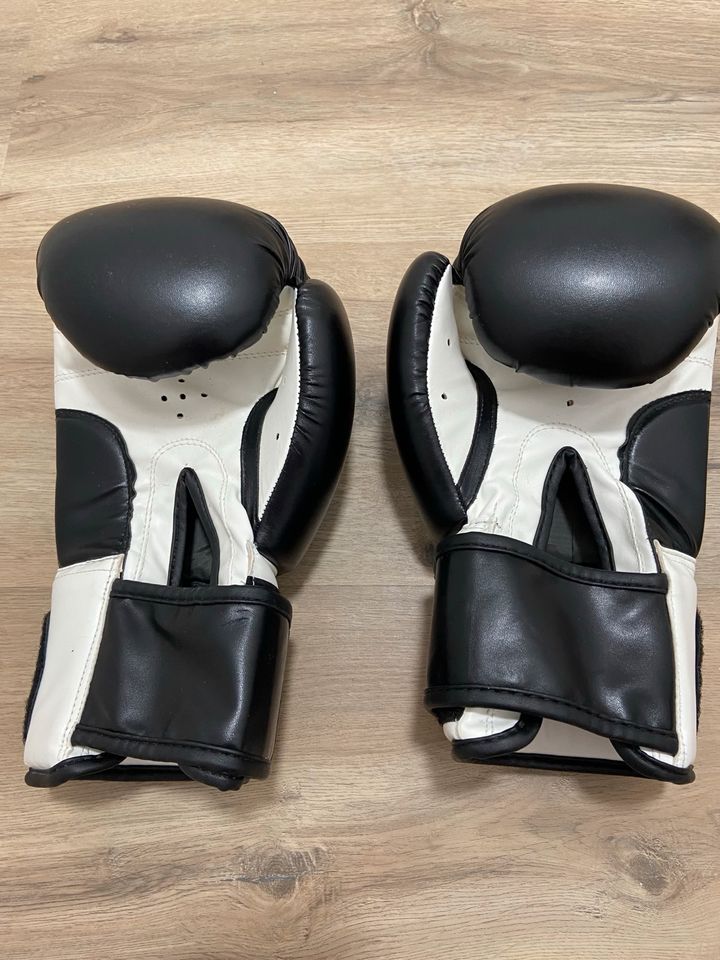 Kickboxen HANDSCHUHE und SCHIENBEINSCHONER neuwertig in Iserlohn