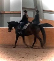 Suche Reitbeteiligung an Pferd/Pony in der Nähe Volksdorfs Wandsbek - Hamburg Volksdorf Vorschau