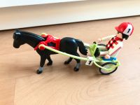 Jede Menge Playmobil Notarzt Fee Ritter Pferde Feuerwehr  usw Niedersachsen - Banteln Vorschau