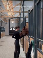 Ich suche jemanden mit Pferd fürs Fotografieren Niedersachsen - Oldenburg Vorschau