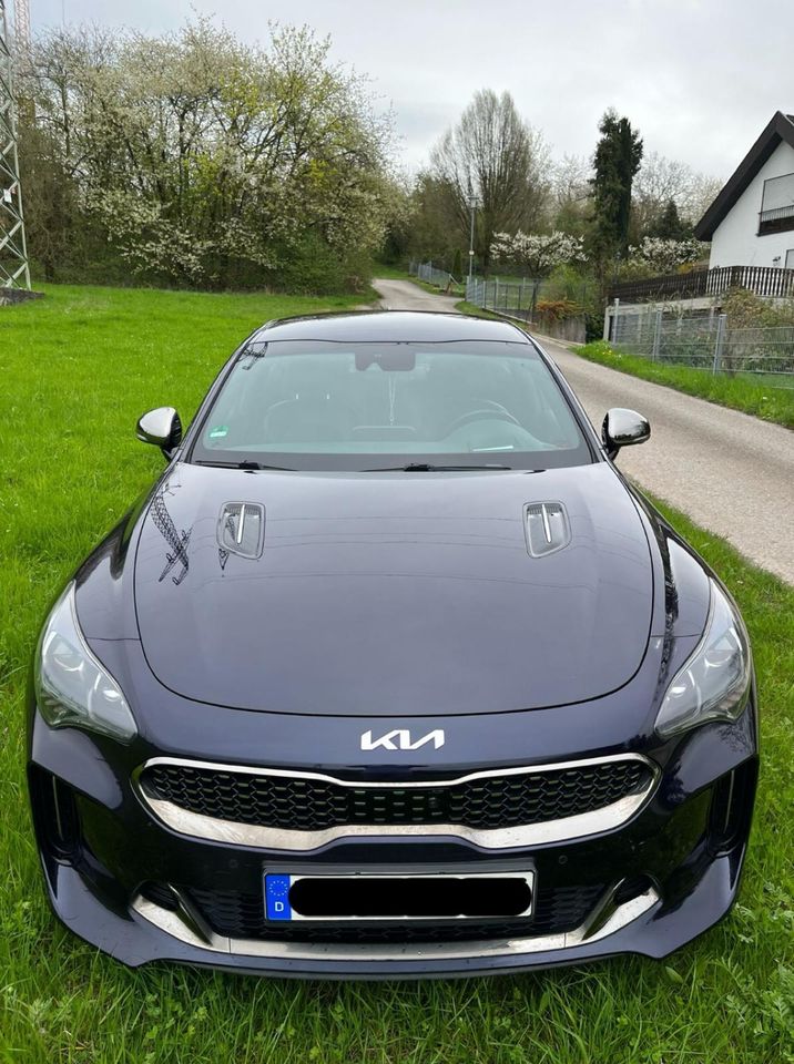 Kia Stinger 3.3 T-GDI AWD GT in Pforzheim