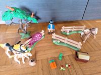 Playmobil 5227 Pferdekoppel vollständig Hessen - Grasellenbach Vorschau