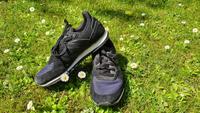 Sportschuhe, Turnschuhe, Adidas, Sneaker, Damen, Gr. 38 Sachsen-Anhalt - Magdeburg Vorschau
