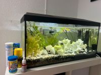 Tetra Aquarium-Set, 60 Liter Baden-Württemberg - Giengen an der Brenz Vorschau