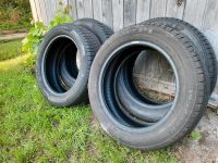 4x Sommerreifen 195/55R16 87H Pirelli Cinturato DOT2318 5,3-6,8mm Schleswig-Holstein - Pronstorf Vorschau