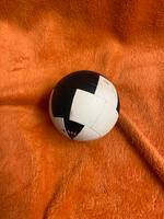 SSB-Ball Masterball Münster (Westfalen) - Angelmodde Vorschau