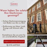 Dachrinnenreinigung Saarbrücken - St Johann Vorschau