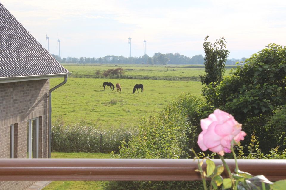 Luxus Ferienwohnung direkt an der Nordsee     bis  6 bzw.11 Pers. in Butjadingen