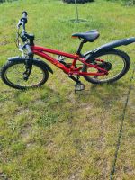 Mountainbike Raimon tworay 1.0 20 Zoll Nordvorpommern - Landkreis - Marlow Vorschau