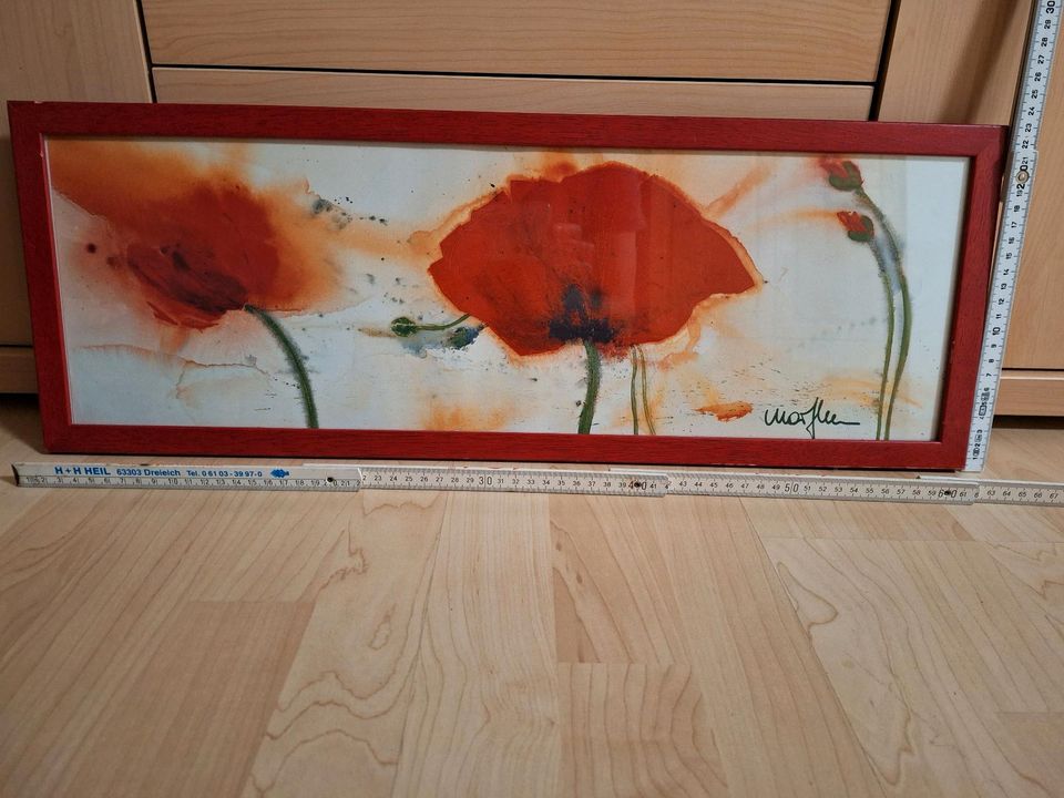 Bild inkl. Rahmen vom Klatschmohn in Langen (Hessen)