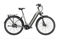 Victoria E-Bike  Tresalo 17 // RH 51 cm Niedersachsen - Großenkneten Vorschau