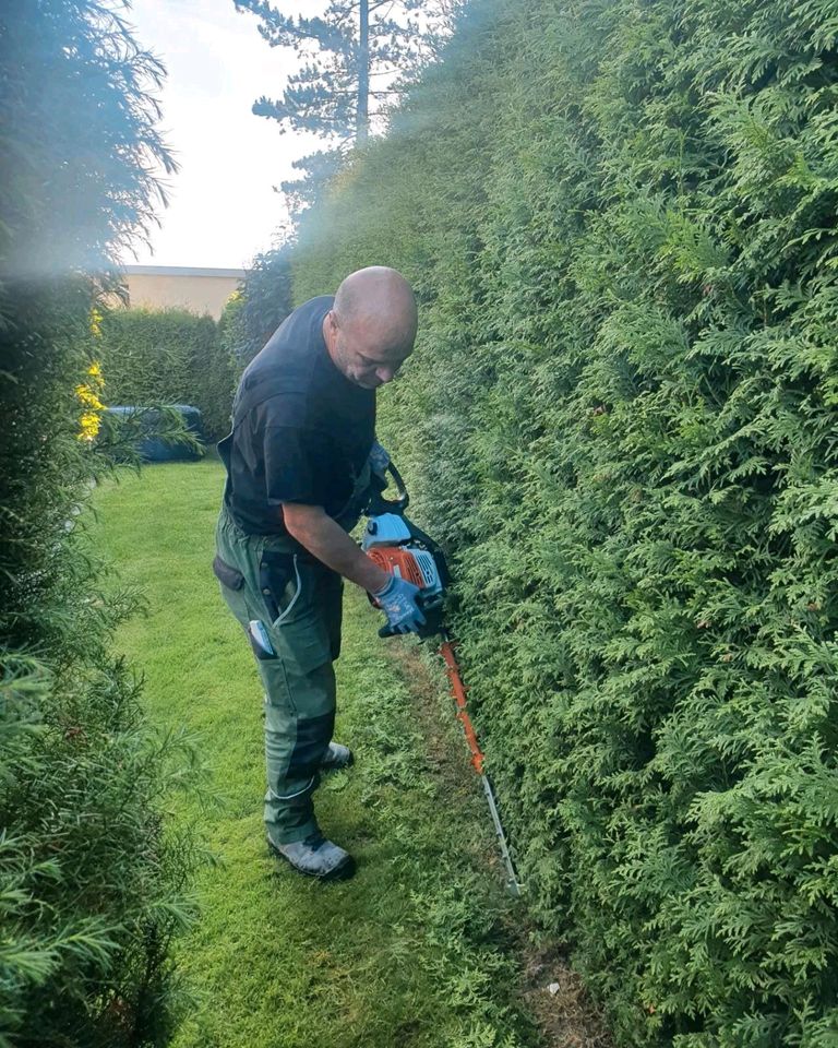 Heckenschnitt Hecke schneiden Heckenfeinbeschnitt Strauchschnitt in Iserlohn