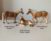 Schleich Horse Club Pferde Familie mit Fohlen 13606 13292 Nordrhein-Westfalen - Dorsten Vorschau