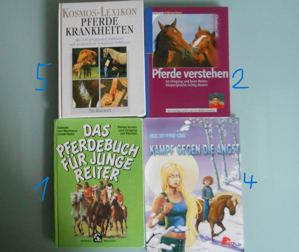 Verschiedene Kinderbücher / Jugendbücher für Jungs und Mädchen in Saldenburg
