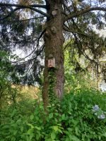 Vogelhaus zu verkaufen Bayern - Reichertshofen Vorschau