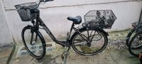 Prophete  28 Zoll Fahrrad Berlin - Friedenau Vorschau