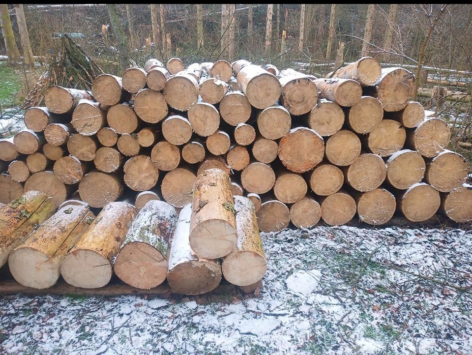 Brennholz Fichte Meter Stücke trocken Holz in Koblenz