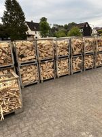 Verkaufe Buchen Brennholz 30cm 1 Gitterbox voll Hessen - Twistetal Vorschau