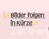 Silberne Felgen 16 zoll Niedersachsen - Trebel Vorschau