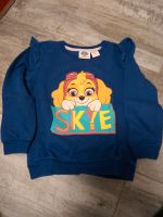 Pullover Sweatshirt Gr. 110 Paw Patrol Skye Thüringen - Greiz Vorschau