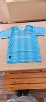 Manchester City Trikot 2024/25 Größe M Hessen - Dreieich Vorschau