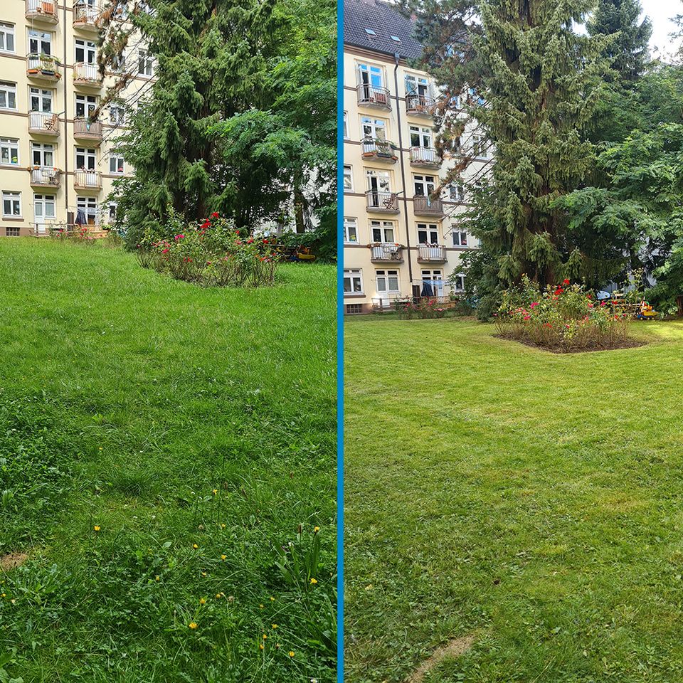 ✅Gebäudereinigung ✅Gartenpflege ✅ Hausmeister ✅ Winterdienst in Hamburg