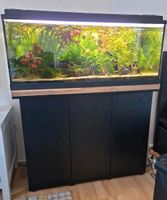 Aquarium Unterschrank Juwel SBX Rio 180 Berlin - Spandau Vorschau