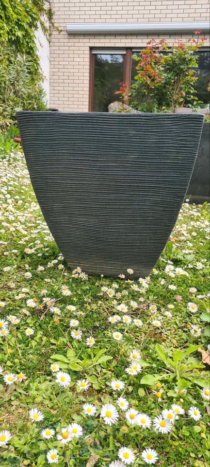 Pflanzkübel grau in Eltville