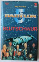 Buch, John Vornholt, Babylon 5-Blutschwur Brandenburg - Fürstenwalde (Spree) Vorschau