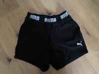 Puma Sporthose, kurze Hose, Damen, schwarz, XS Nordrhein-Westfalen - Kempen Vorschau
