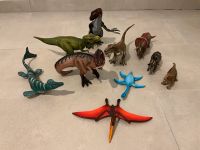 Schleich Dinosaurs Sammlung (10 Dinosaurier) Bayern - Marloffstein Vorschau