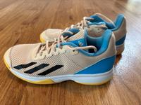 Adidas Tennisschuhe in Größe 39 1/3 (Multicourt) Schleswig-Holstein - Ammersbek Vorschau