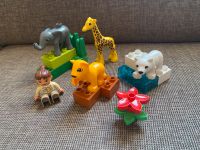 Lego Duplo Tierbaby-Set Zoo Tiere Rheinland-Pfalz - Koblenz Vorschau