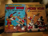 Mickey Mouse Blech Schilder Nordrhein-Westfalen - Oberhausen Vorschau