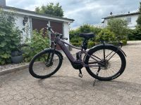 Mountainbike E-bike Schleswig-Holstein - Süderbrarup Vorschau