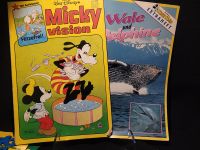 Micky Vision mit Beilage aus 7/82 Nordwestmecklenburg - Landkreis - Herrnburg Vorschau